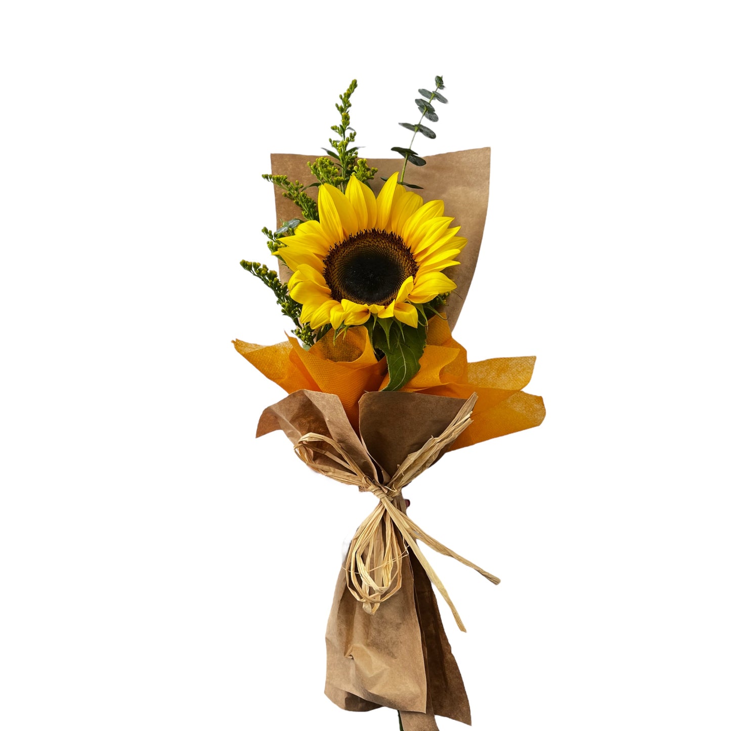 Bq - Paper and Petals