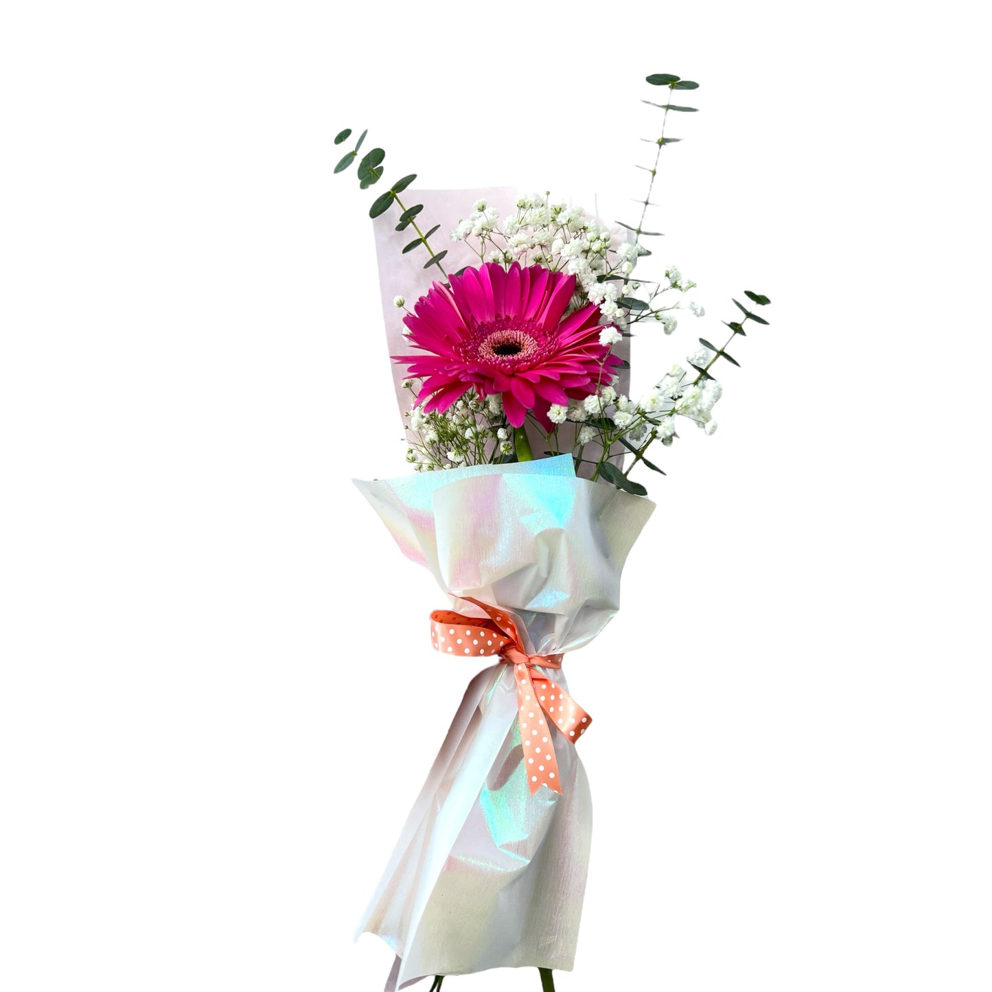 Bq - Paper and Petals