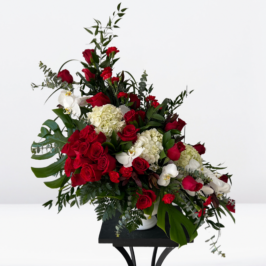 Moon of Elegant Design